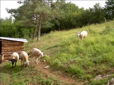 Ne venez pas bler aprs moi si vous ne trouvez pas la rponse !