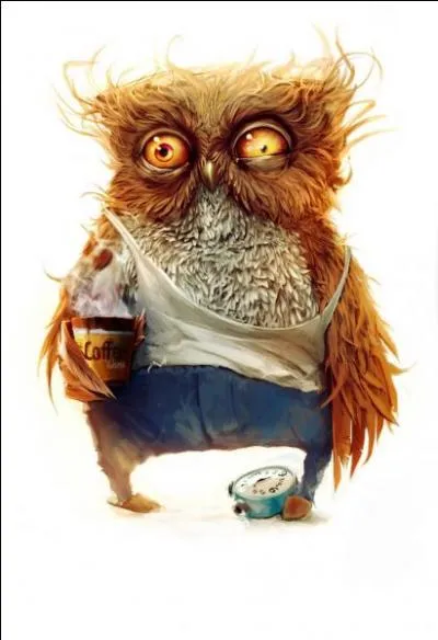 Alors, il est pas chouette mon hibou ?