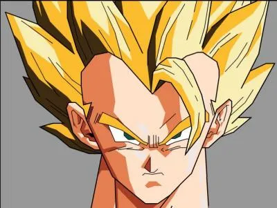 Quelle est l'identit de ce personnage ?