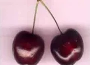 Quiz Les fruits
