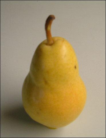 Quel est ce fruit ?