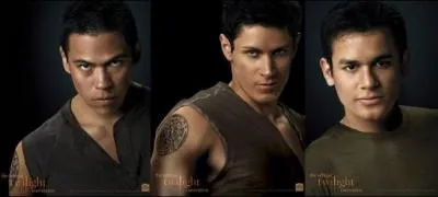 Qui est l'Alpha de la meute ?