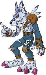 A qui appartient ce Digimon ?