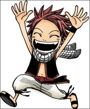 Fairy Tail : qui est ce garon d'un ge inconnu qui part tout le temps la tte baisse et qui aime bien la baston ?