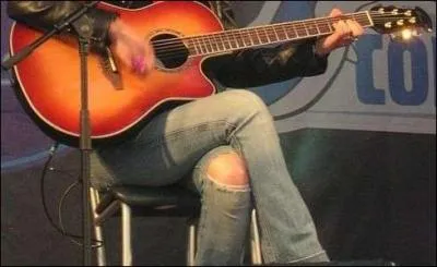 De quel concert s'agit-il ?