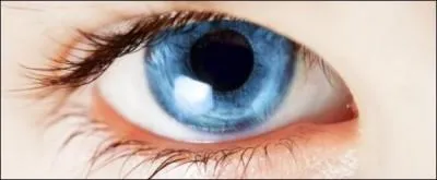 Finalement, quel est le nombre de couleurs que l'�il humain peut distinguer ?