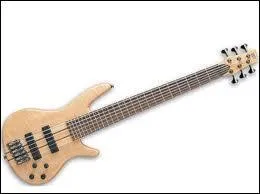 Quel est le nom de cet instrument ?