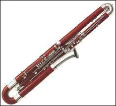 Quel est le nom de cet instrument ?