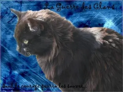 Avec qui vit-il maintenant ?