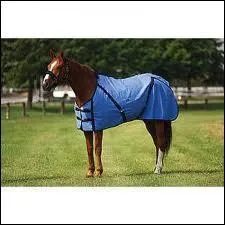 Quel est cet objet ?