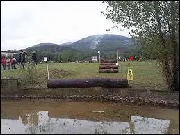 Quel est le nom de cet obstacle ?