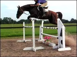 Quel est le nom de cet obstacle ?