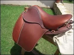 Quel est le nom de cette selle ?