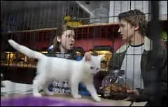 Quel est le nom du vritable premier chum d'Aurlie ?