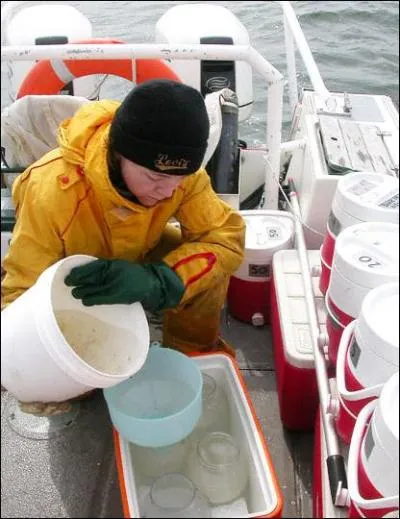 Il existe des fermes d'levage du homard dans quels pays ? (une couleur en particulier dans la photo donne un indice)