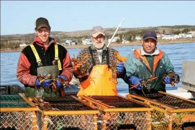 Voici des pcheurs de homards de la Gaspsie au Qubec. Il y a deux grandes espces de homards. Laquelle de ces espces ces pcheurs ne pourront capturer sur les ctes du Qubec ?