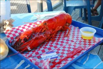 Au Canada l'exportation du homard rapporte par anne une somme considrable. Combien diriez-vous en dollars canadiens ? (il faut bien qu'il y ait au moins 1 question avec un chiffre)