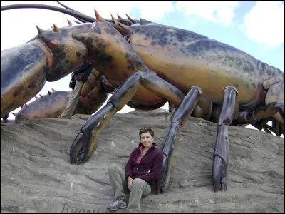 Voici un homard de fantasme. Mais dans quel pays la taille minimum de la capture d'un homard est-elle la plus grande ?