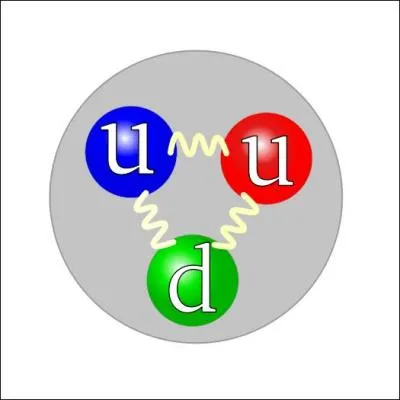 Il existe 6 sortes de quarks : up, down, top, beauty, strange et :