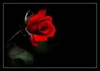 Quelle chanteuse est devenue l'une des plus grandes stars de la chanson franaise des annes 1980 en interprtant  En rouge et noir  ?