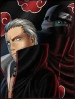 Qui Kakuzu & Hidan ont-ils captur ?