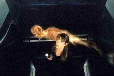 Une grosse production française. Quel est ce film ?