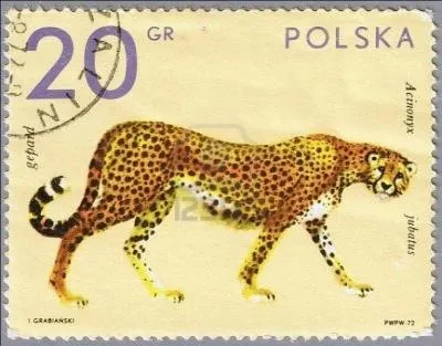 Quel flin reconnaissez-vous sur ce timbre polonais ?