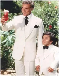 Quelle est cette série ?