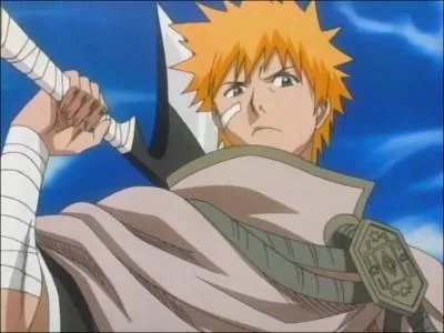 Dans quel anime le voit-on?