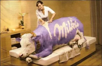 Comment traduit-on  la vache  en espagnol ?