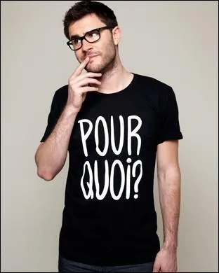 Quelle(s) chronique(s) / webchronique(s) a-t-il anime(s) ?