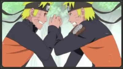 Que va faire Naruto  la Cascade de la Vrit ?