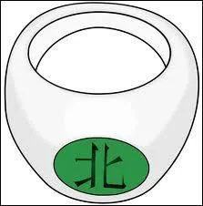 Dans l'Akatsuki, qui porte la bague ?