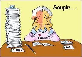 Comment est la copie pour les nuls ?