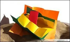 De quelle couleur est le carton pour signaler un avertissement ?