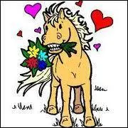 Quelle est la couleur du Poney de Steinbeck ?