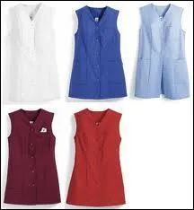 Dans la B. D. o&ugrave; l'on rencontre Corn&eacute;lius, comment sont les tuniques ?