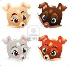 De quelle couleur est le chien du roman de Simenon ?