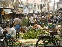 En Inde on parle diffrents dialectes en fonction du territoire ou de l'Etat o l'on se trouve. Mais dans une rgion on peut parler diffrents dialectes. Dans quelle rgion connue parle-t-on l'hindi, le malayam, le tamoul et le tlougou ?