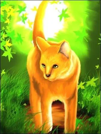 Quelle est la particularit de cette chatte ?