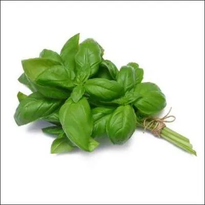 Comment se nomme ce lgume ?