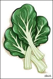 Et celui-ci, quel est son nom ?