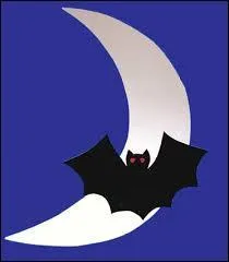 Comment est la lune supplmentaire, les annes  13 lunes ?