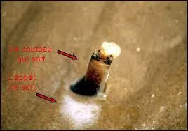 Que faut-il faire pour avoir une chance de l'attraper ?