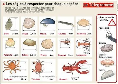 Que faut-il respecter ?