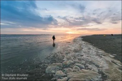 Pourquoi faut-il tre vigilant ?