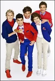 Lequel des One Direction n'a qu'un seul rein ?