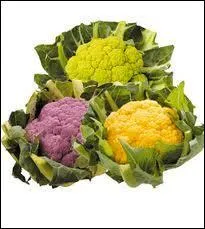 Et si ce quiz a t pour vous un lamentable chec, vous vous tes bien pris le chou, et vous avez fait chou :