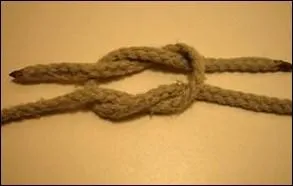 Trs connu galement, c'est: ?