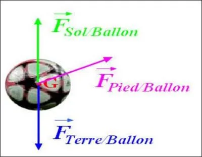 Quelle flche de couleur reprsente le poids du ballon ?